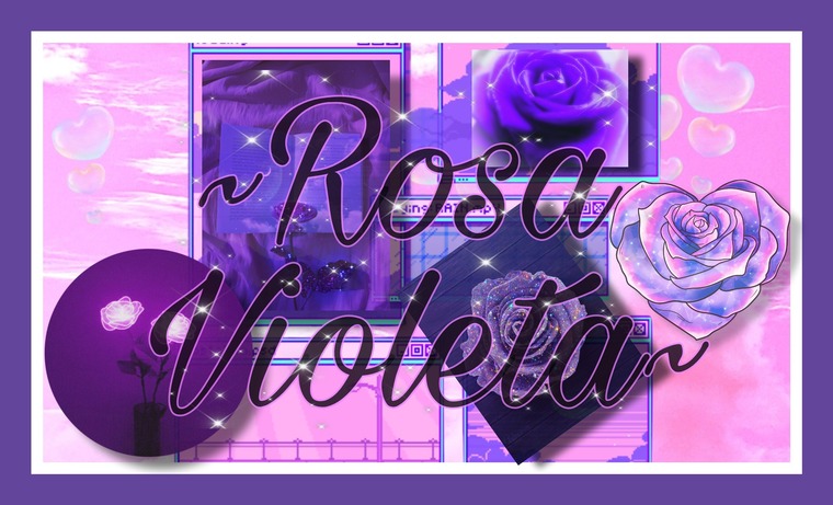 Rosavioleta banner image