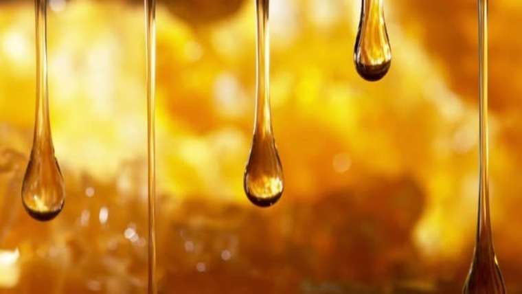 Honey Holliday banner image