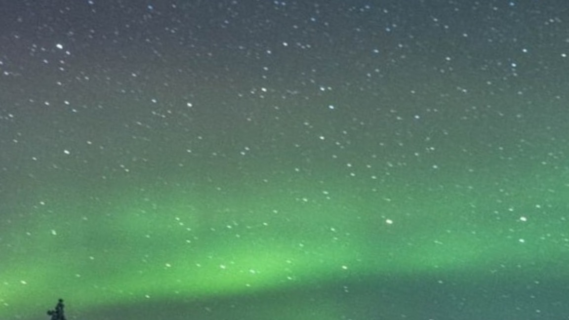 Sophie banner image