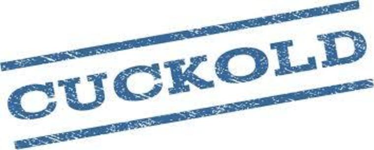 gay_cuckold cover image