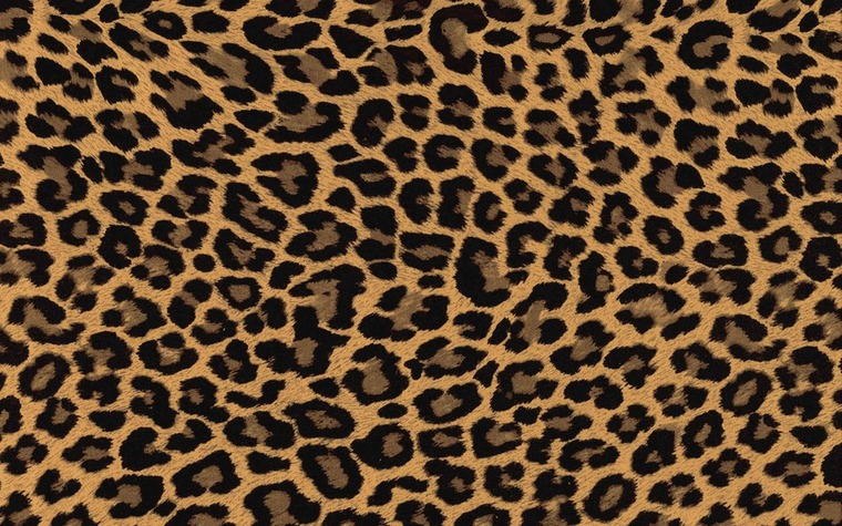 Meg-Lush banner image