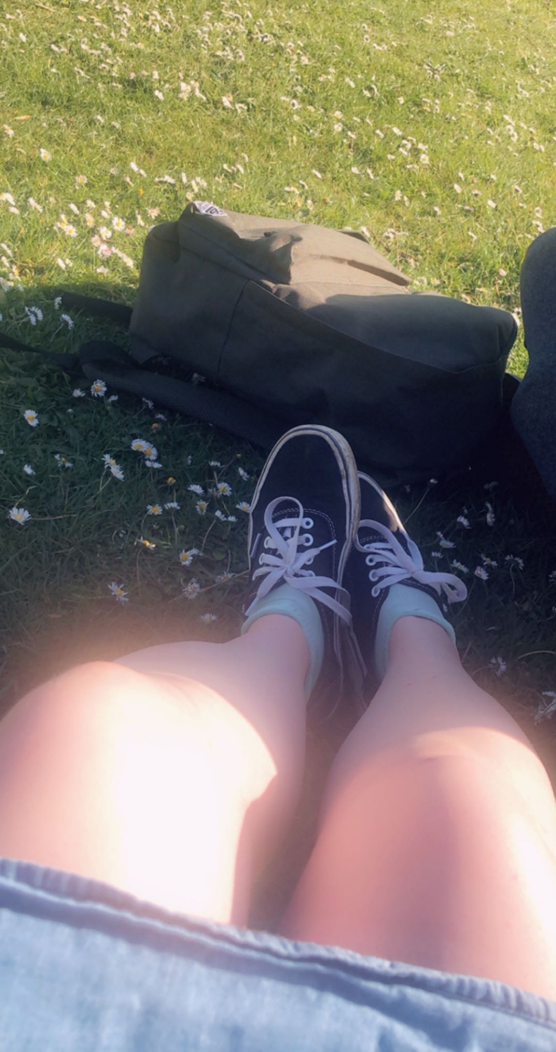 Fox Without Socks banner image