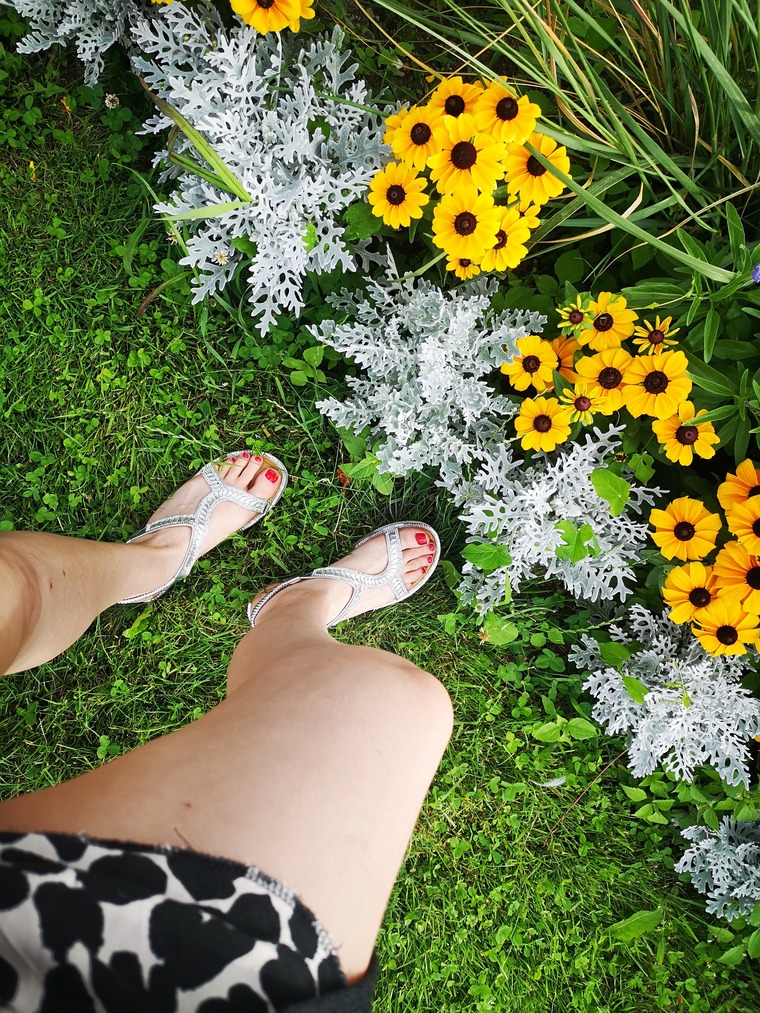Gina Barefeet cover image