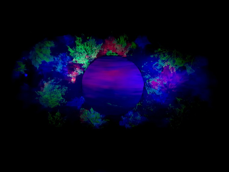 Lee cover image