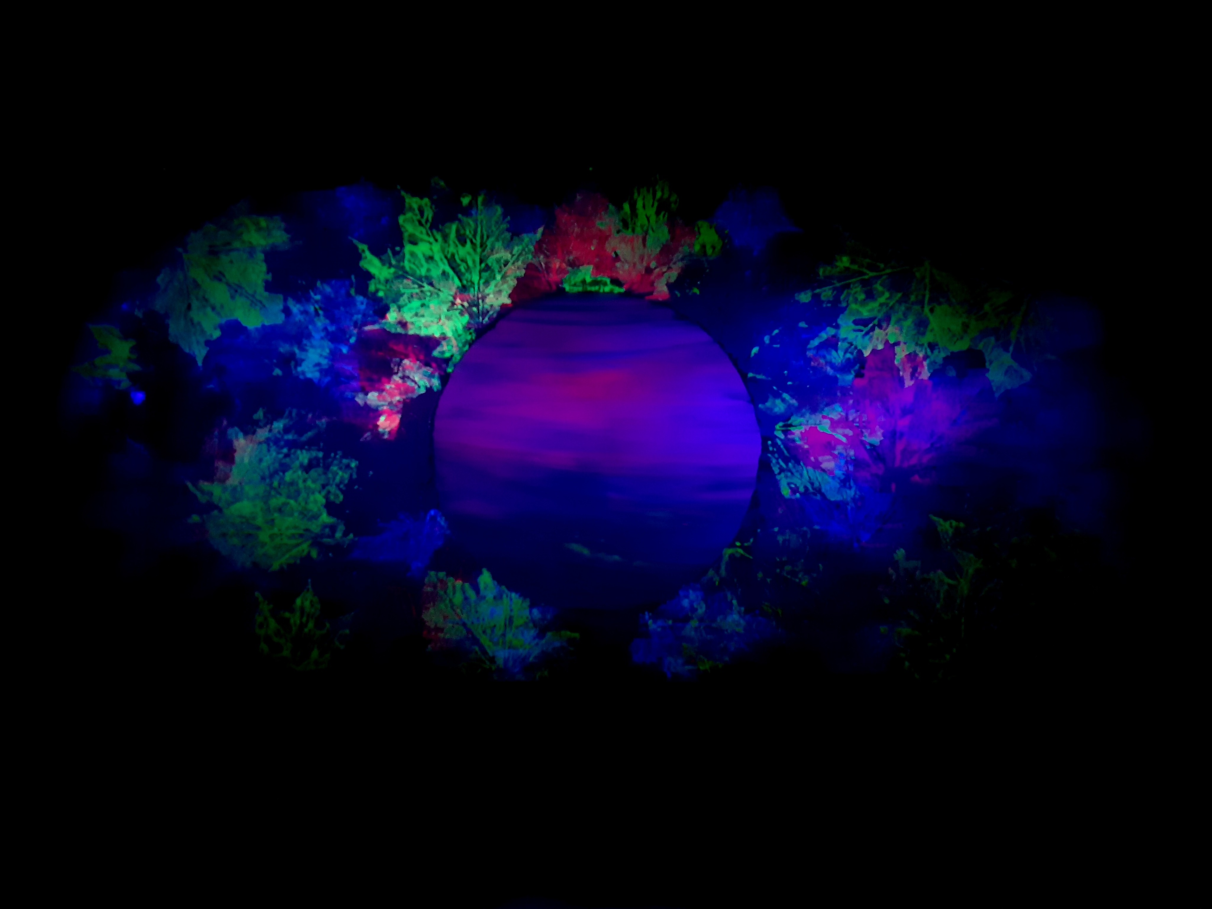 Lee banner image