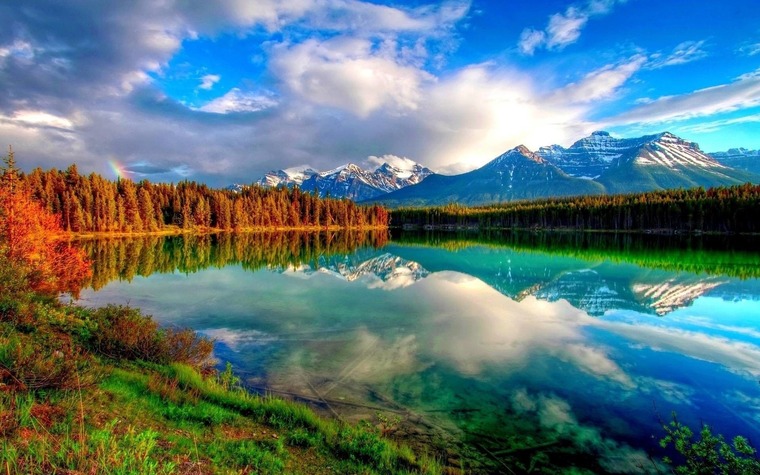 YasminOakOutdoors cover image