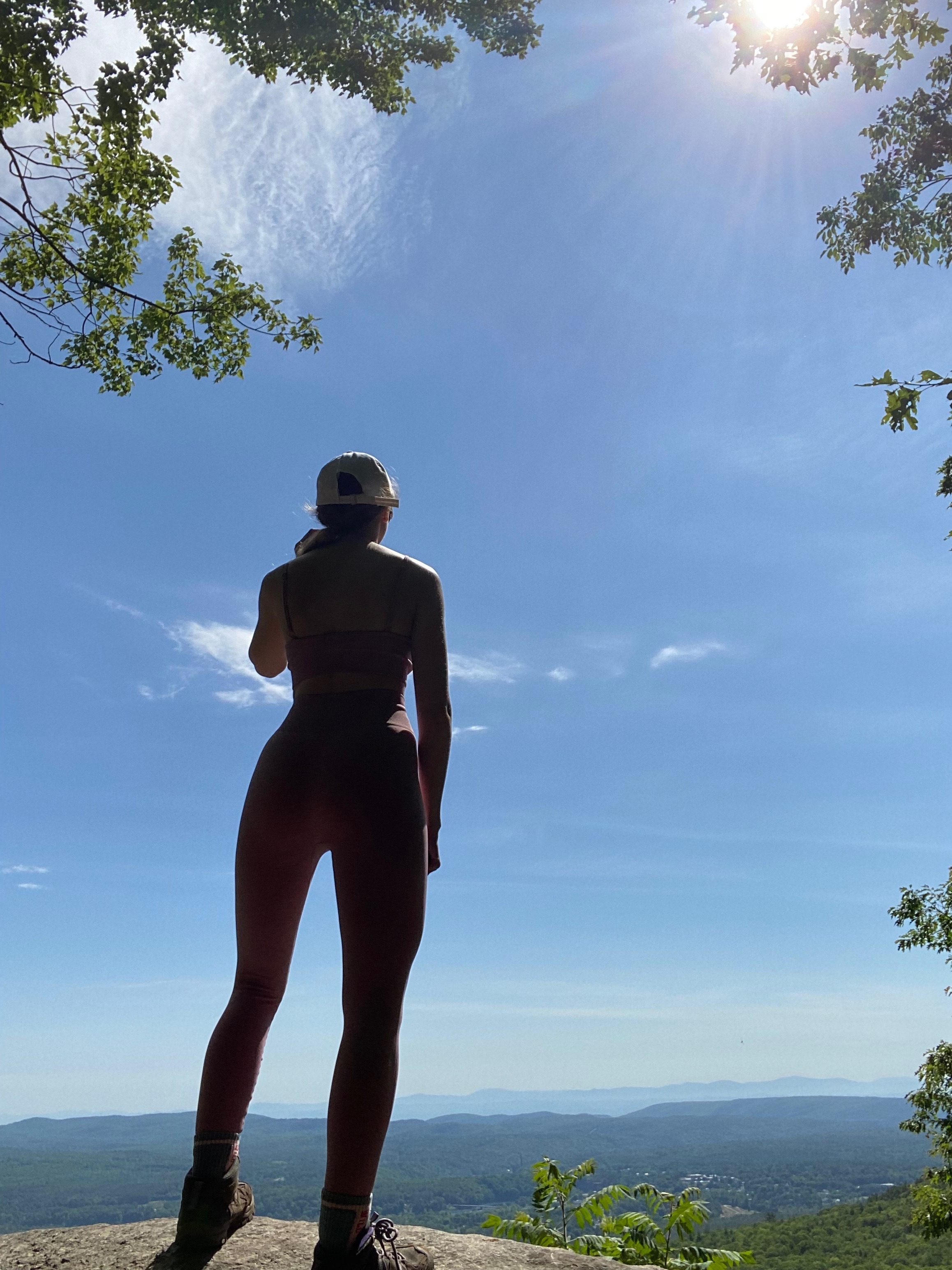 A banner image