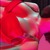 Andr3AOL avatar