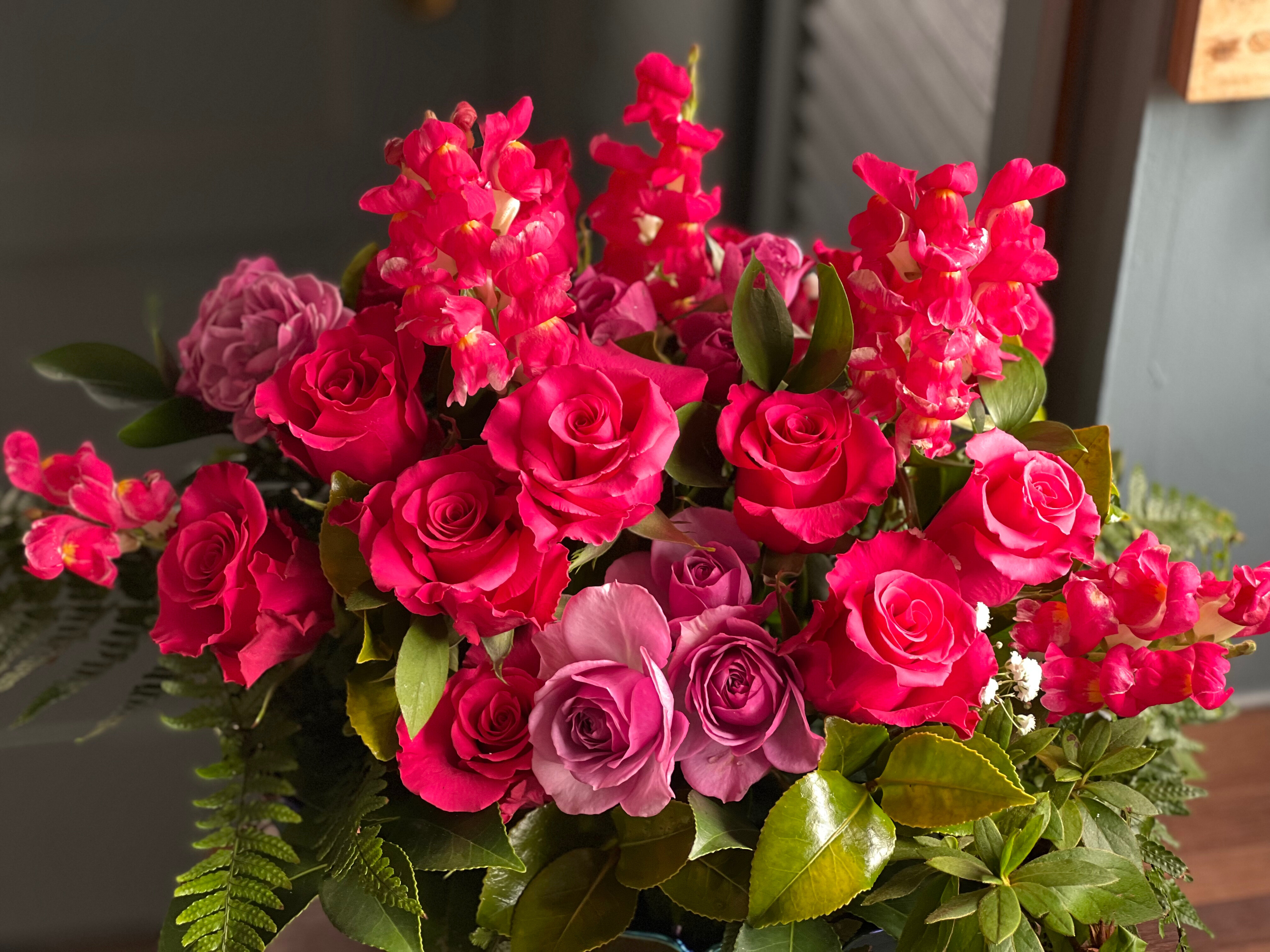 Carman Rose banner image