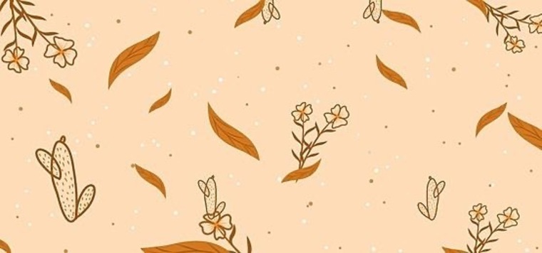 Feet fam cover image