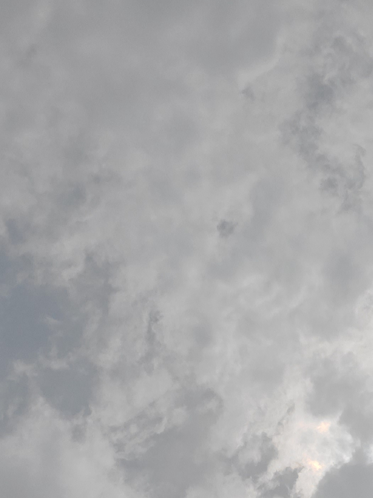 Nicole banner image
