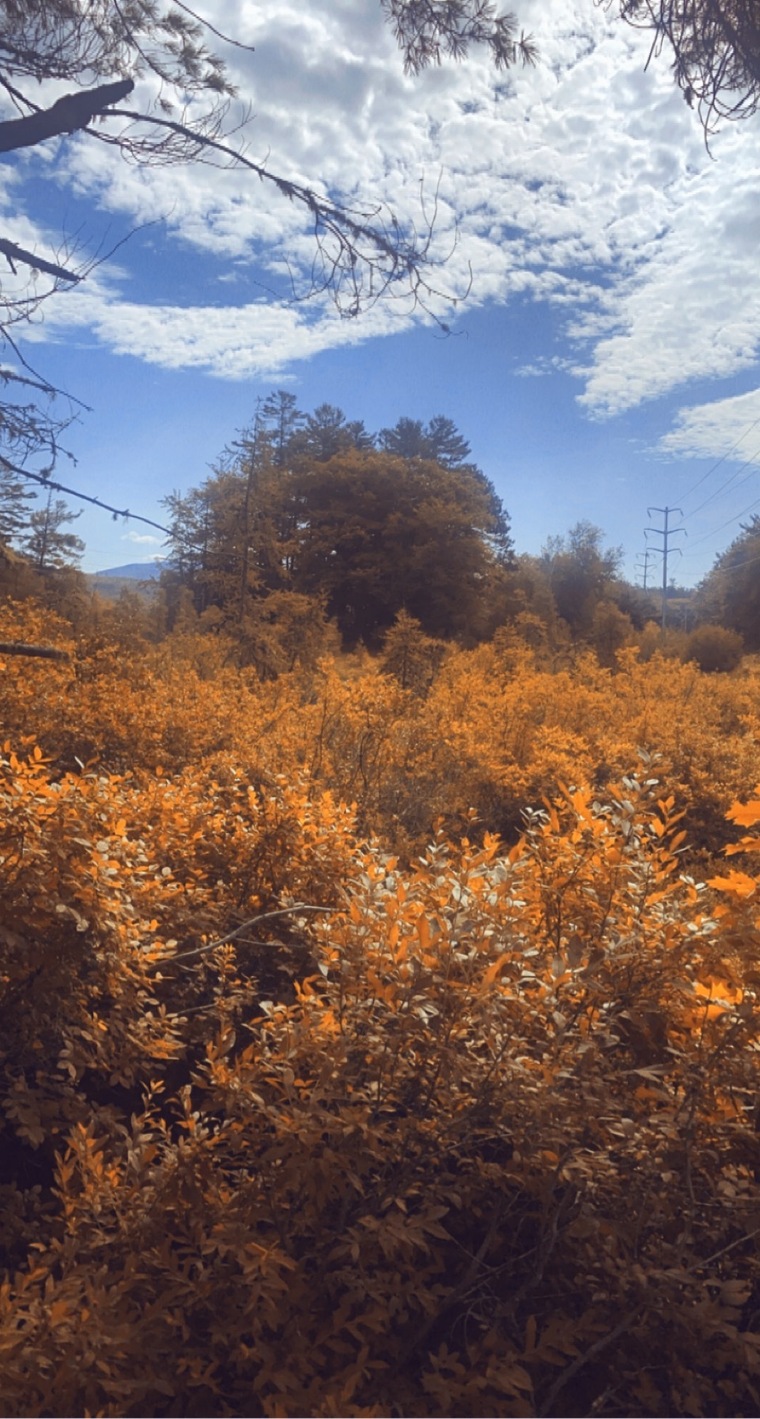 Hope cover image