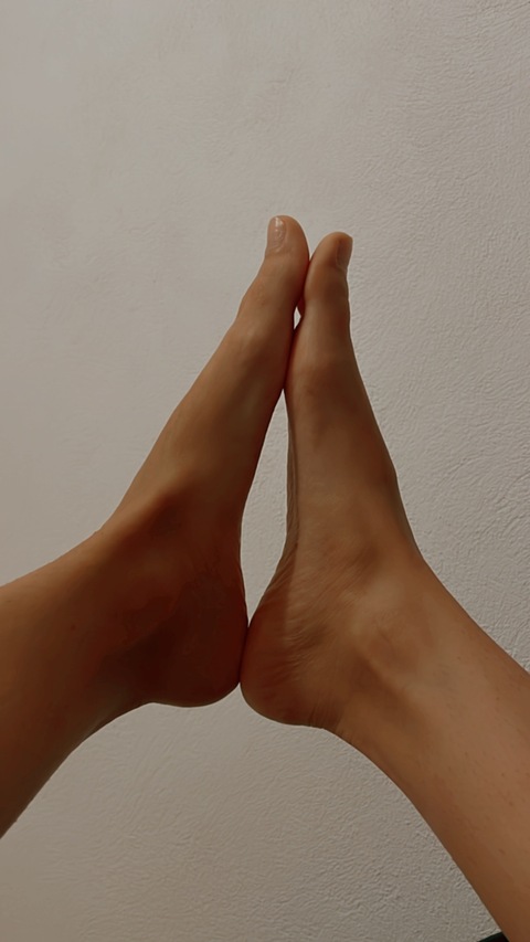 Pieds sud-américains cover image