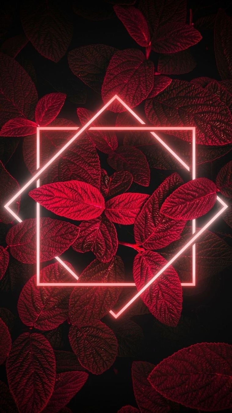 Chief cover image