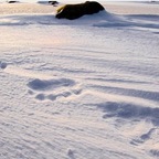 Northern feet avatar