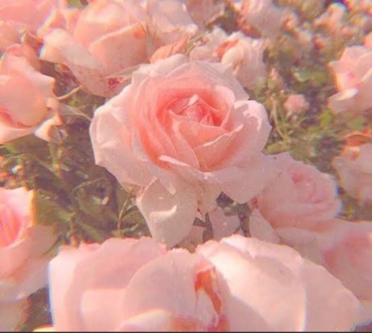 Luiza cover image