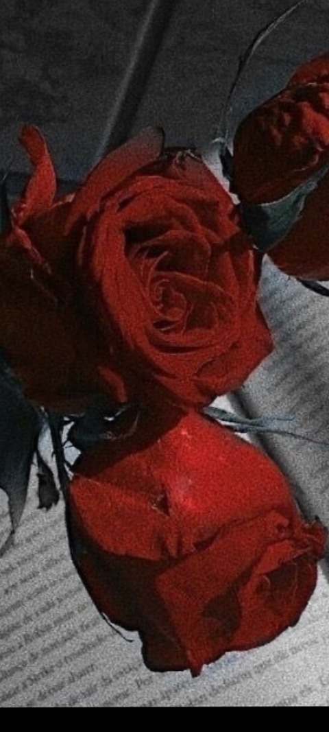 Darían JC cover image