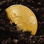 TradingModul avatar
