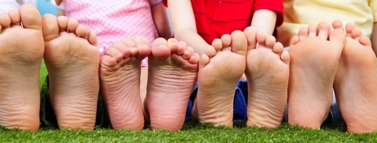 WitgoorseBackyardShitter banner image