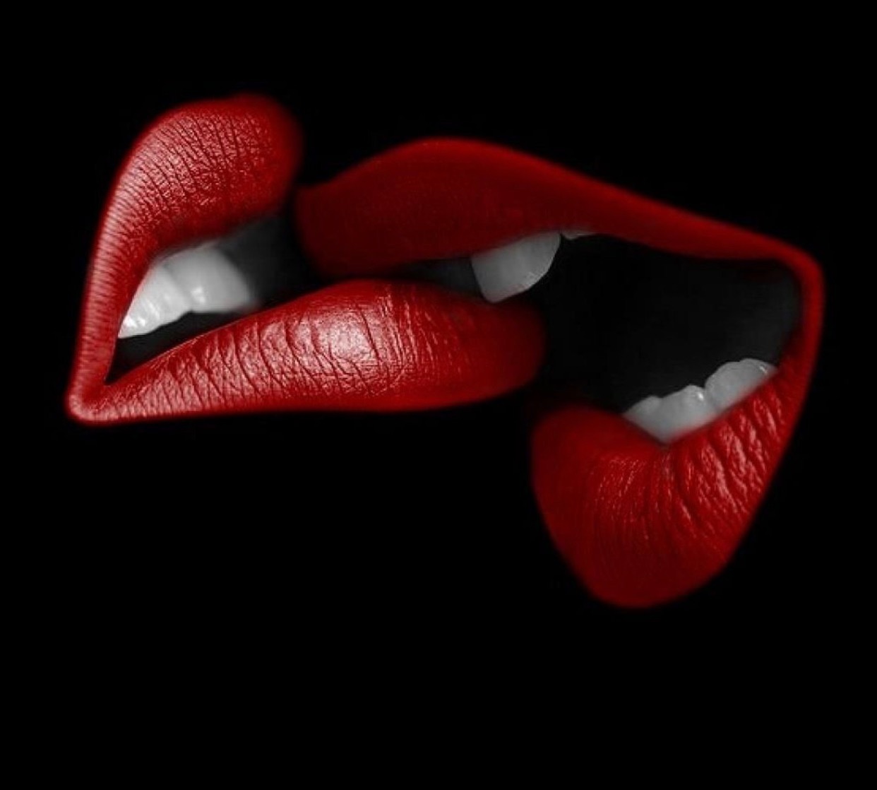 LouLou banner image