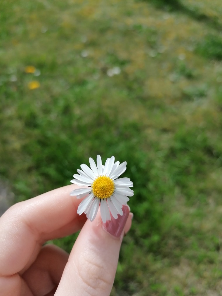 Melanie cover image