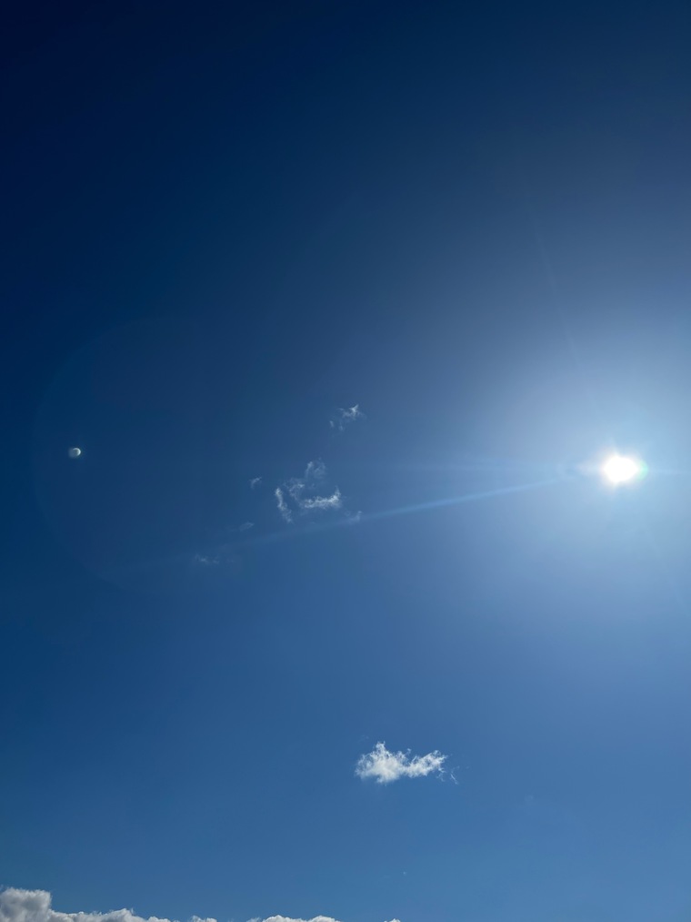 PetterNorth banner image