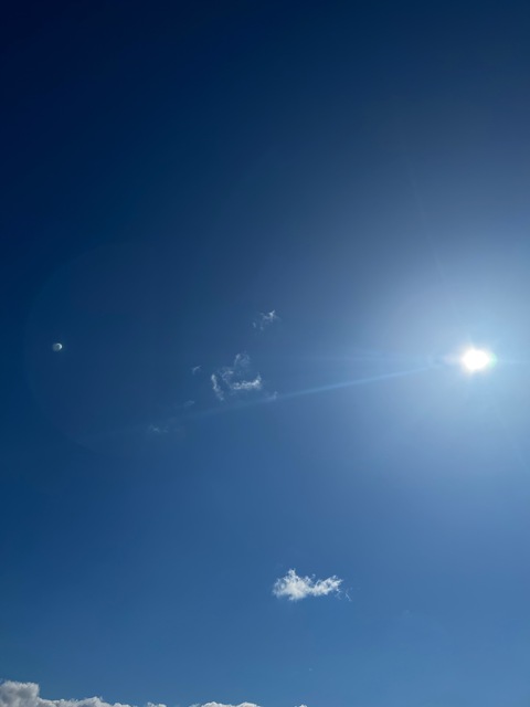 PetterNorth cover image