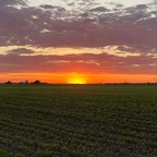 Sunset Chaser avatar