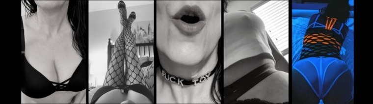 Amy Jenkins cover image