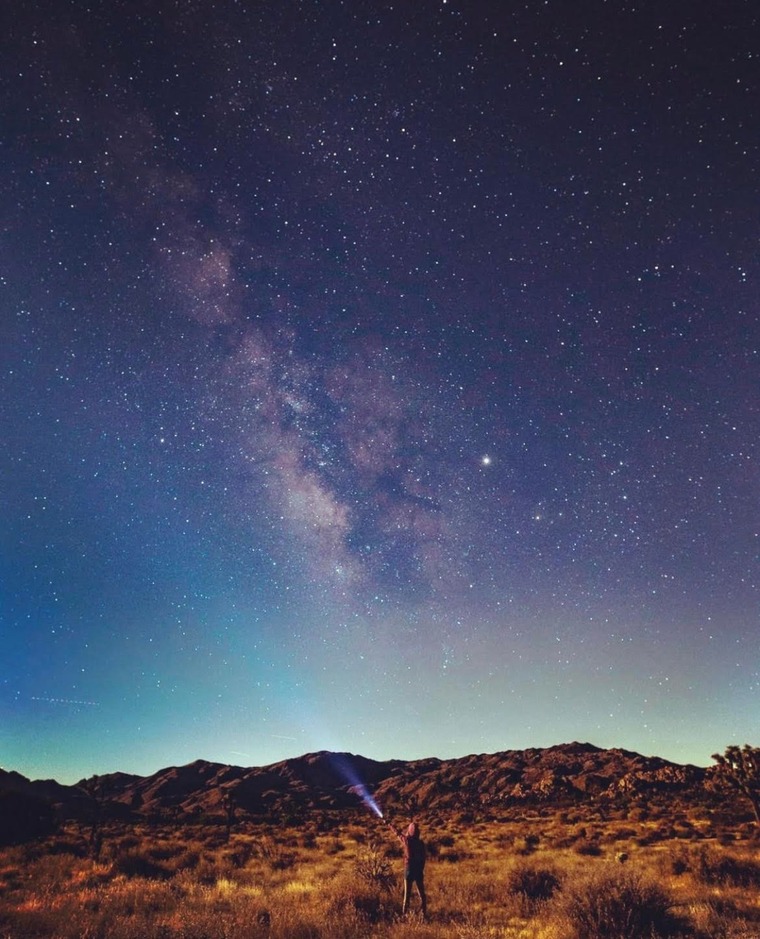 Lani banner image