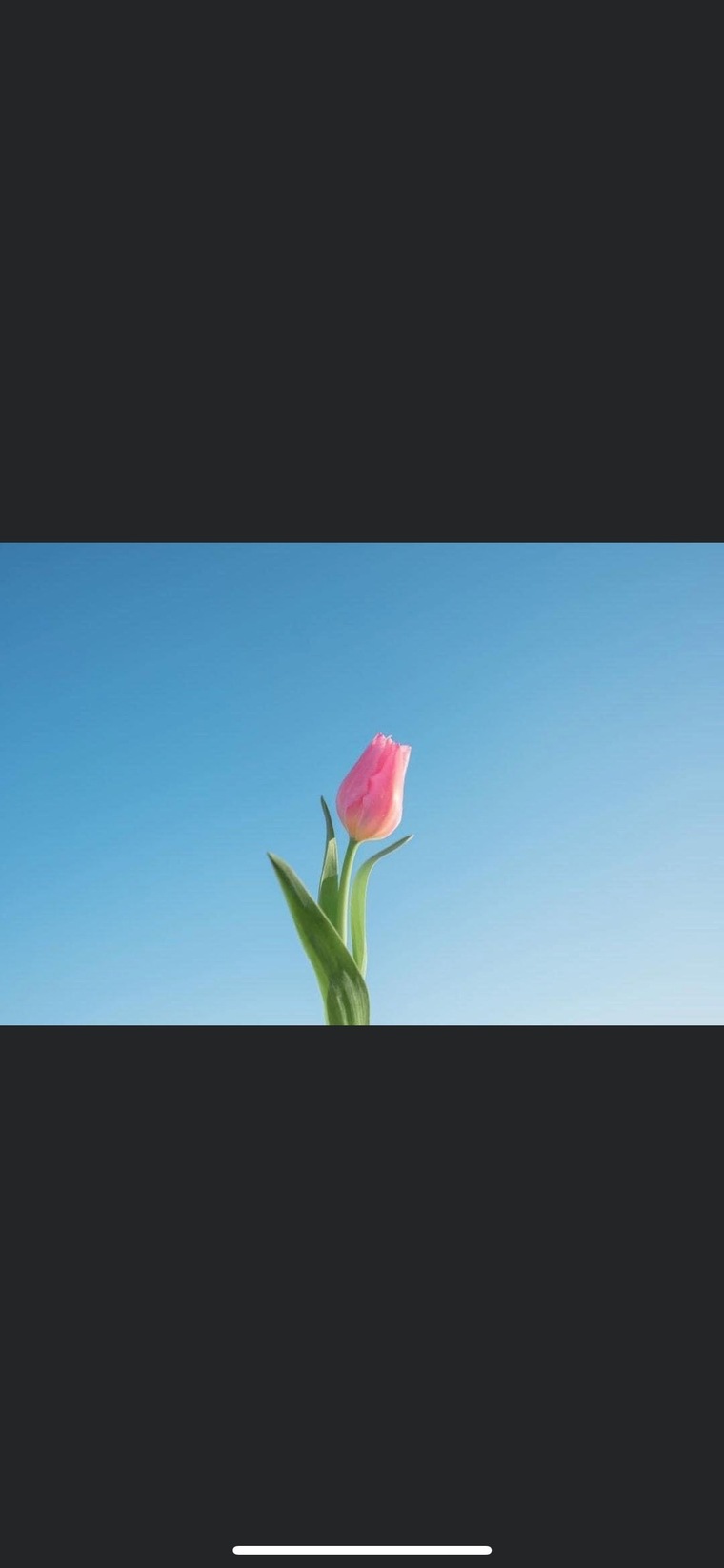Diana cover image