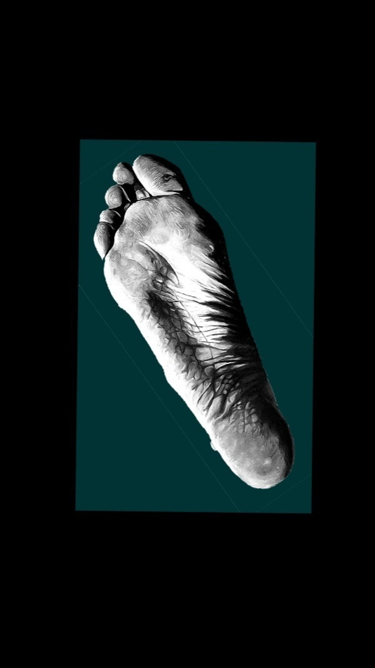NeSilva - art prints banner image