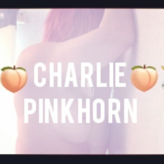๐๐ฆ Charlie Pinkhorn ๐ฆ๐ banner image