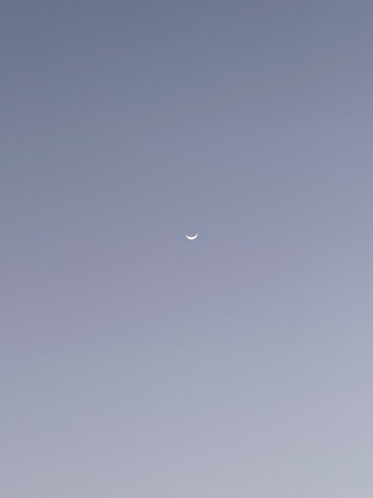 onenonblonde cover image