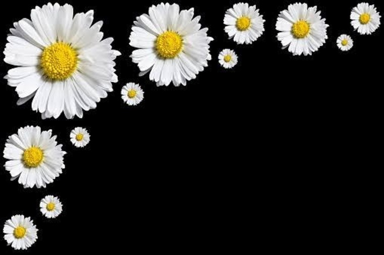 Sexiinerey ♡ banner image