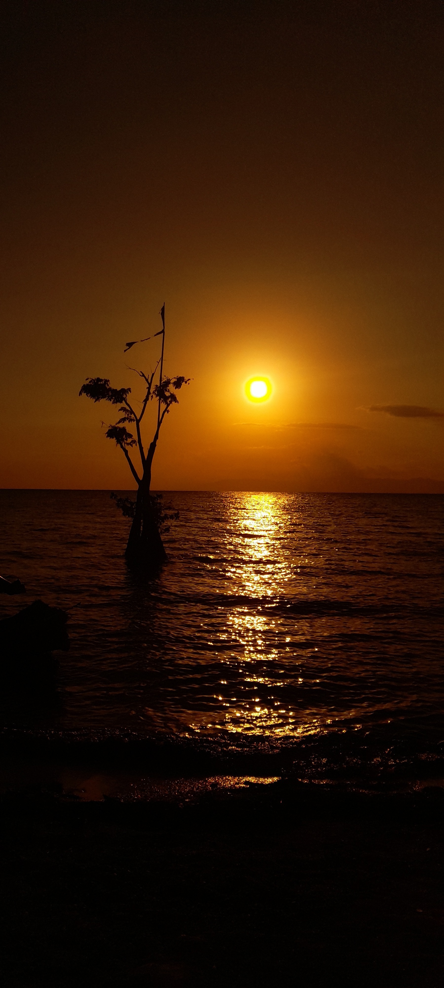 Gabycita🍂 banner image