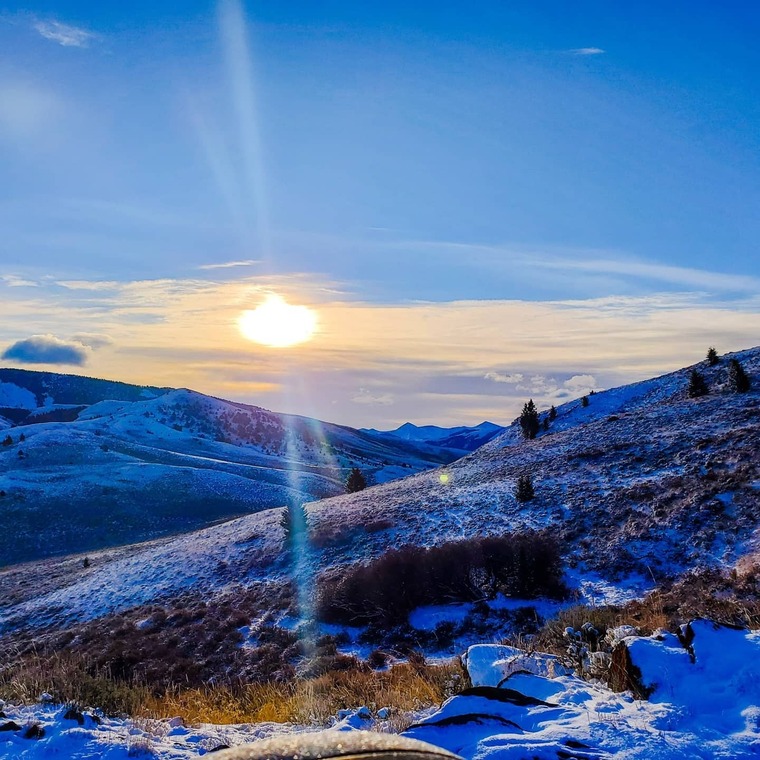 Purpletoes9 banner image