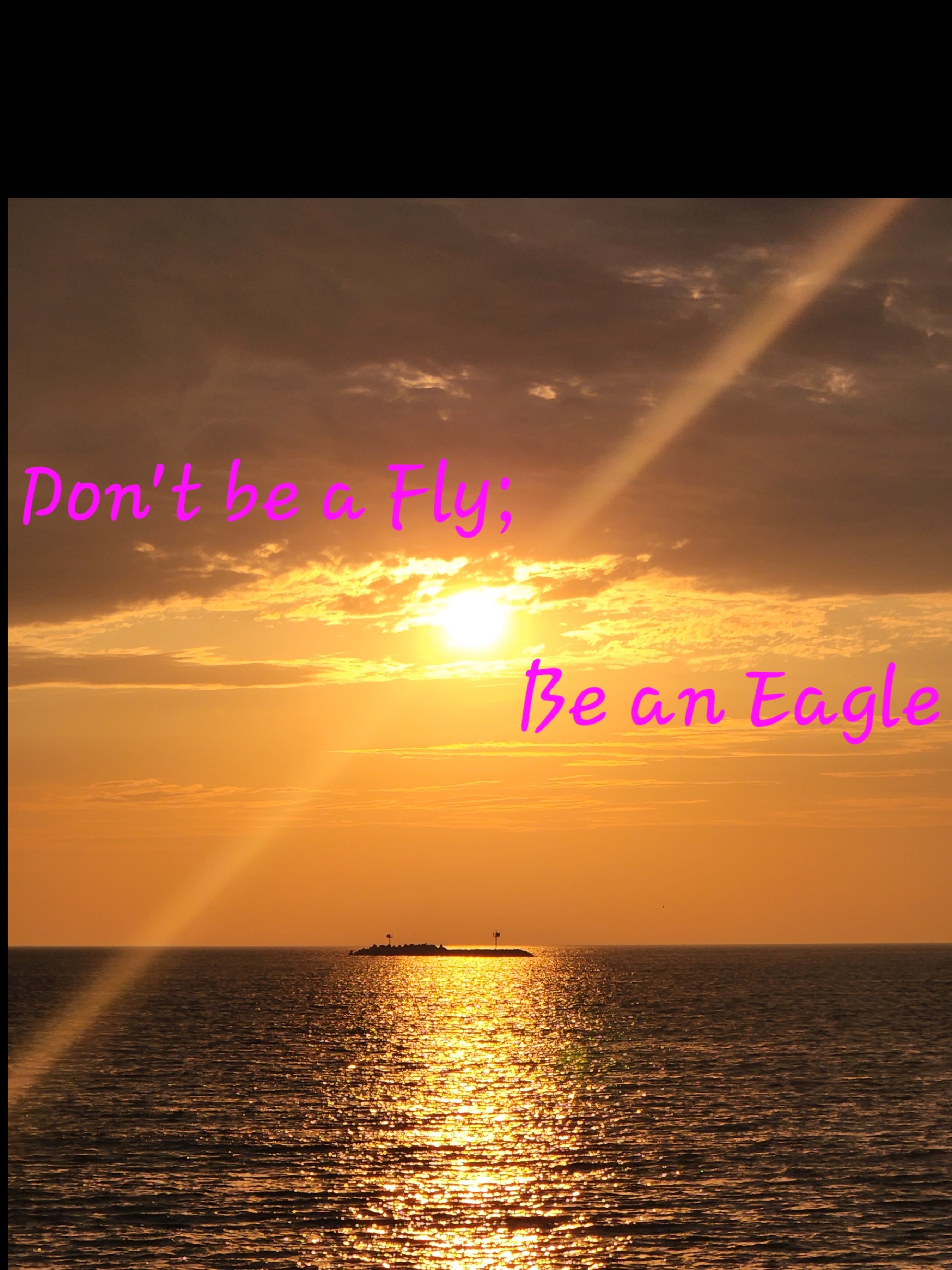 Alora Samira banner image