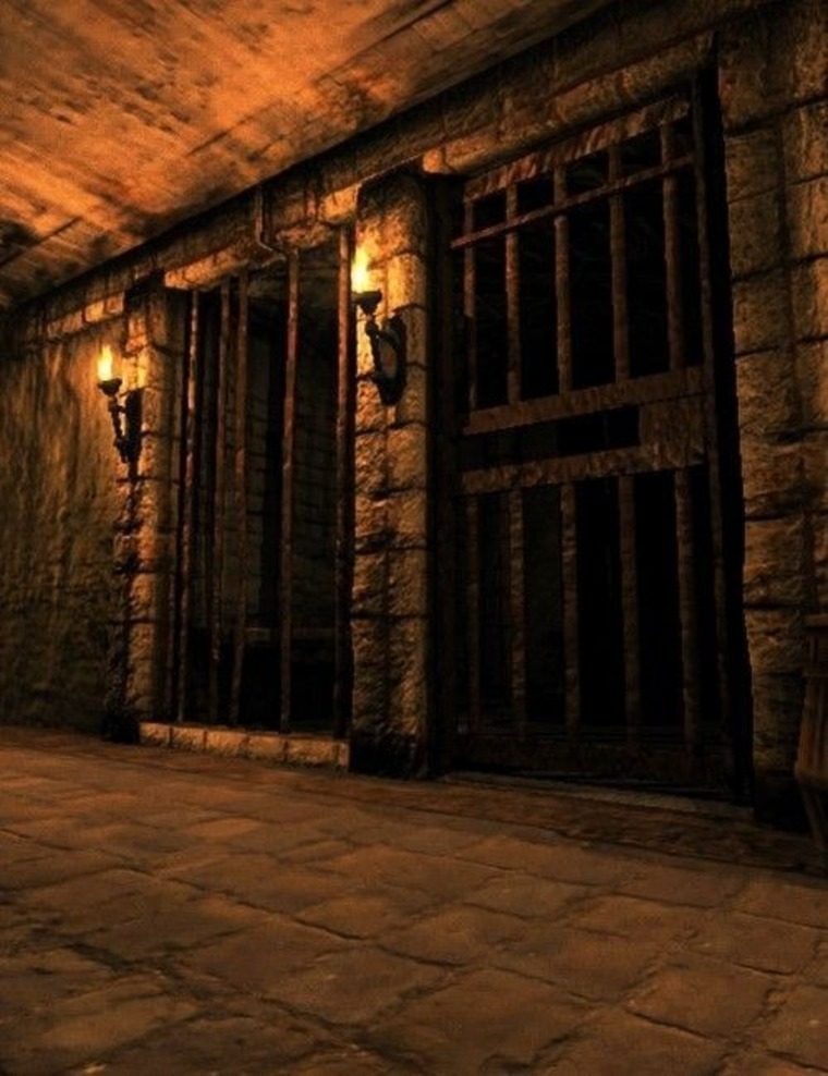Holli Heathen banner image