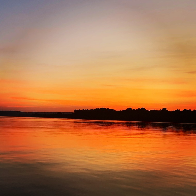Pepper banner image