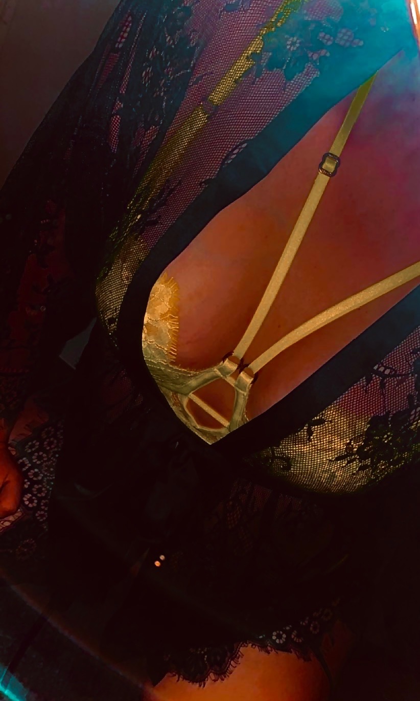 Holly rose banner image