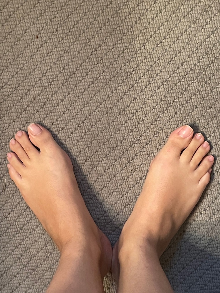 Sunshinepiggies cover image