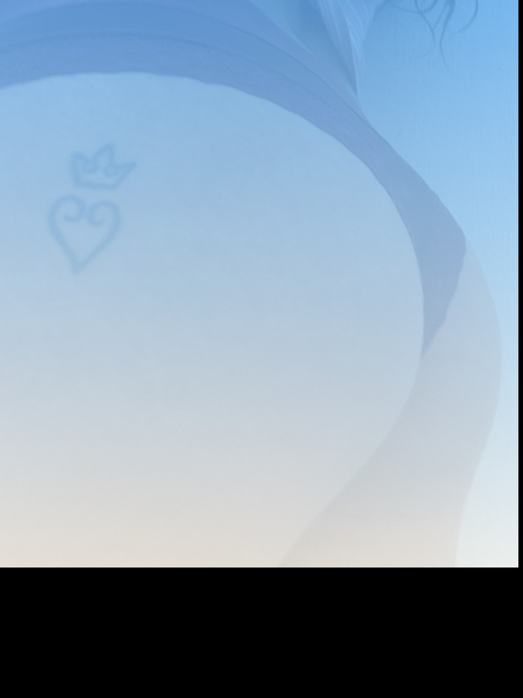 Brisa cover image