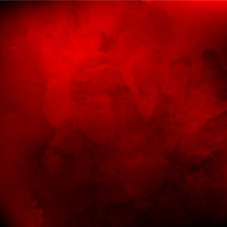 Toni cover image