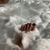 foxyglossy avatar