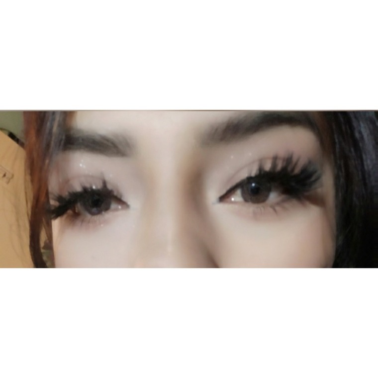 Stefany banner image