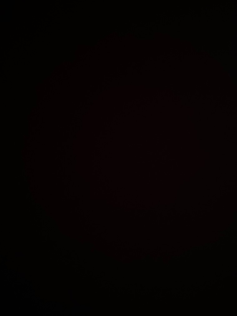 sorority girl ;) banner image