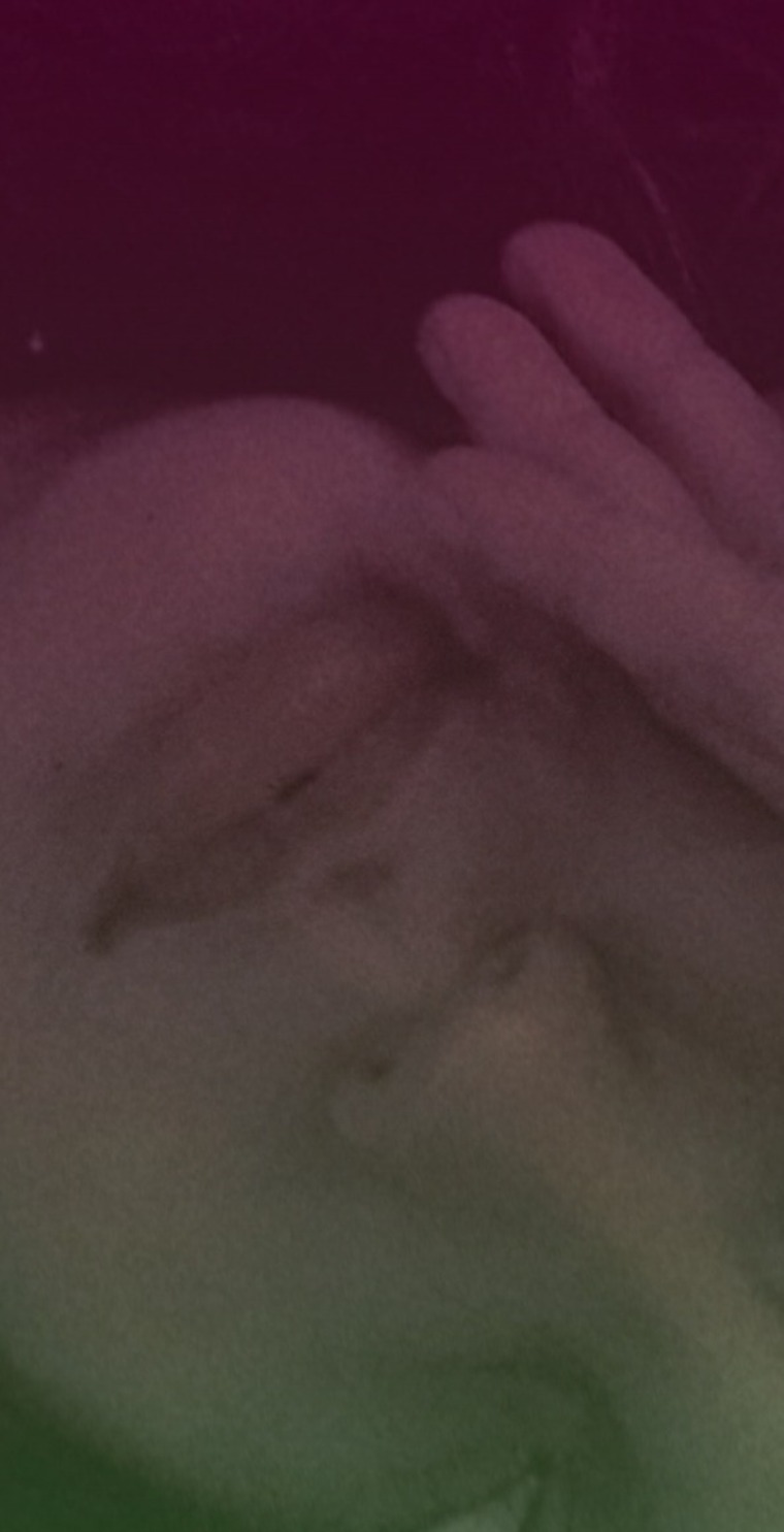 Olivia cover image