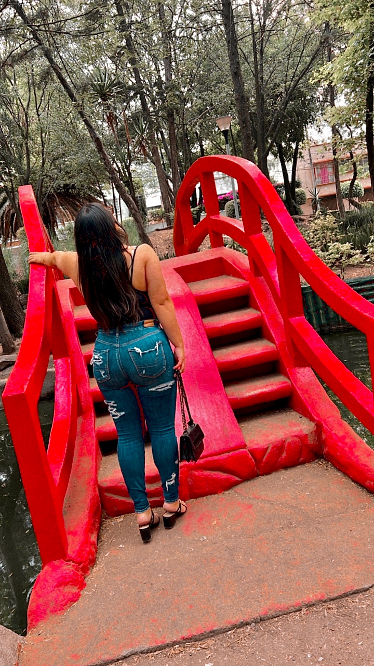 Fernanda Contreras banner image