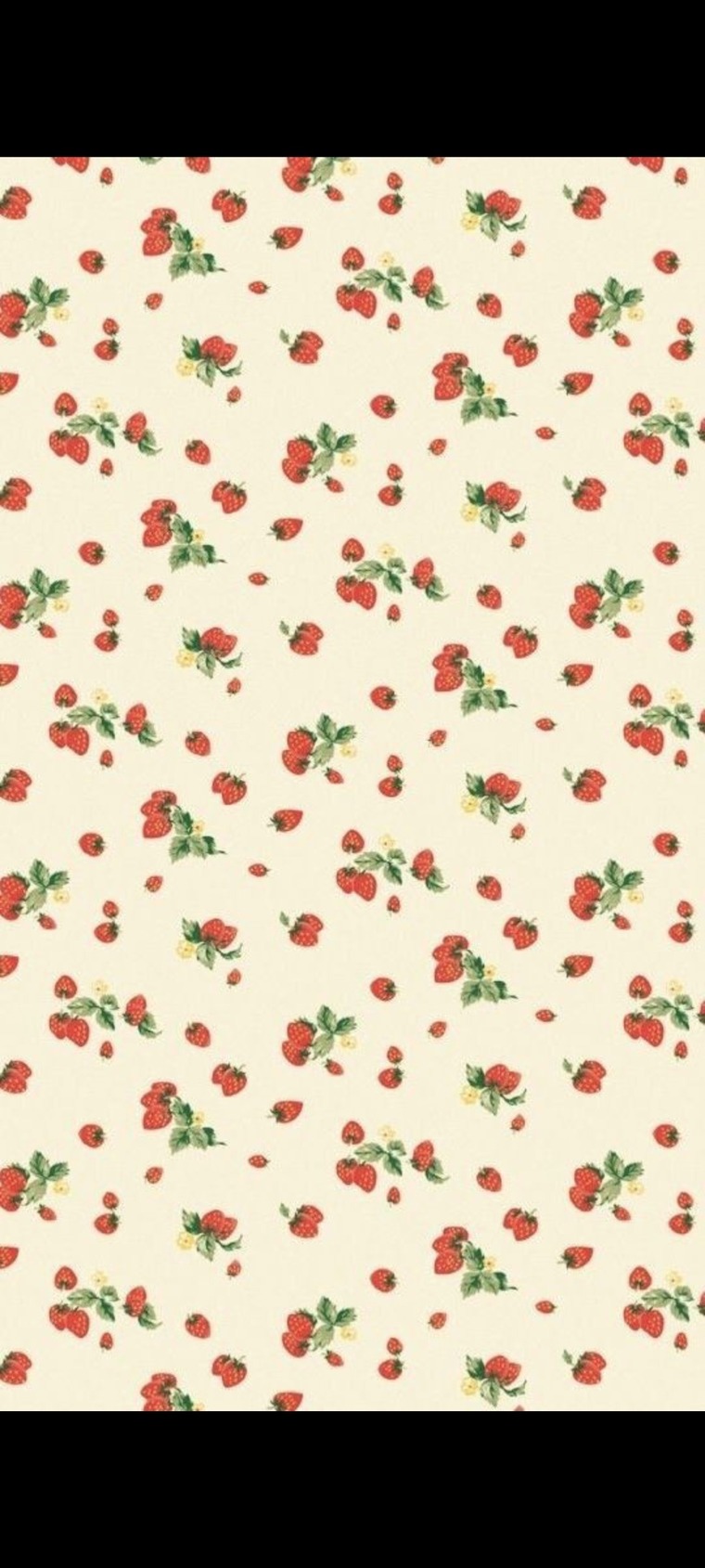 Lola banner image